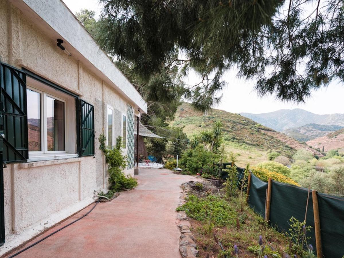 Maison F2 Independante Avec Terrasse, Climatisation Et Wifi A Banyuls-Sur-Mer - Fr-1-309-262 Exterior photo